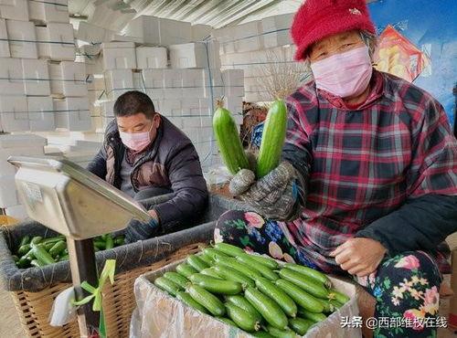 郯城网红吃瓜事件视频最新,一场网络狂欢背后的真相揭秘